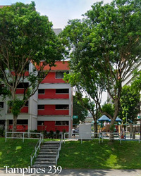 Blk 239 Tampines Street 21 (Tampines), HDB 3 Rooms #610007601